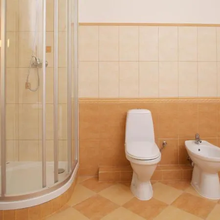 Mini-hotel Under The Roof