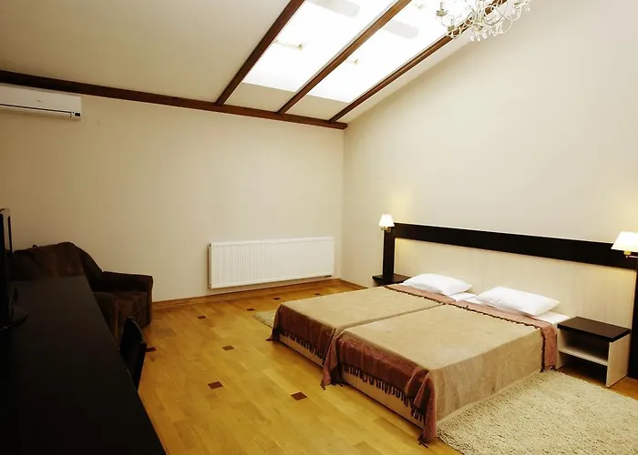 ホテル Mini-hotel Under The Roof