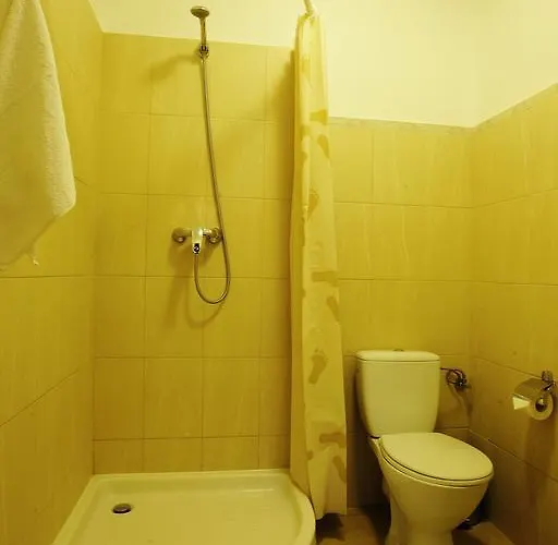 Mini-hotel Under The Roof